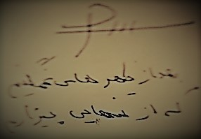 Hadi Pakzad Handwriting